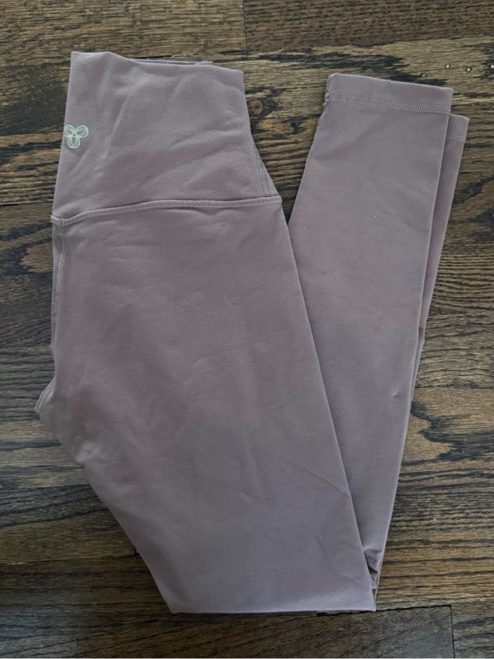 Aritzia Leggings